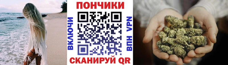 Марихуана план  Кондопога 